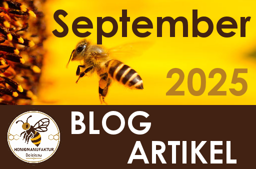BLOG Eintrag September