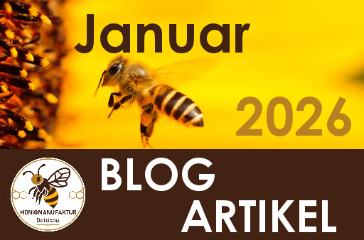 BLOG Eintrag Januar