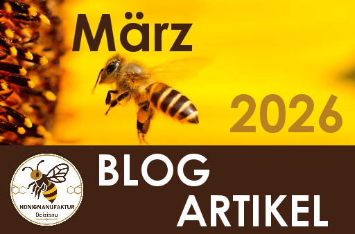 BLOG Eintrag März